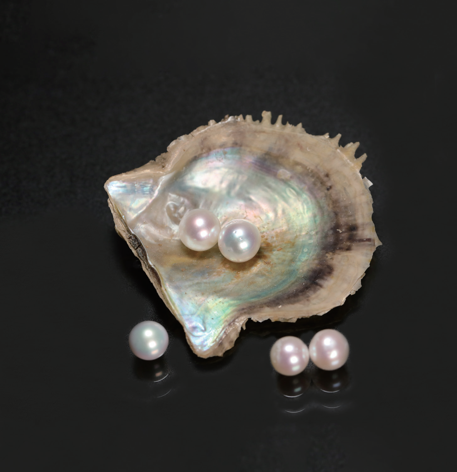 PEARL REPORTGUILD Gemstone LaboratoryGUILDColored Stone ReportPearl