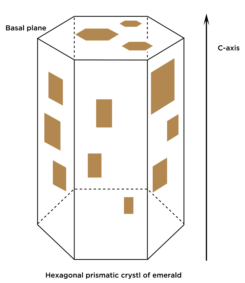 Figure 4. Proposed illustration of hexagonal inclusions in basal plane and platy inclusion along the prismatic faces. Illustrated by Yujie Gao..jpg