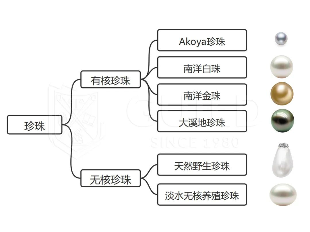 图片 5.png