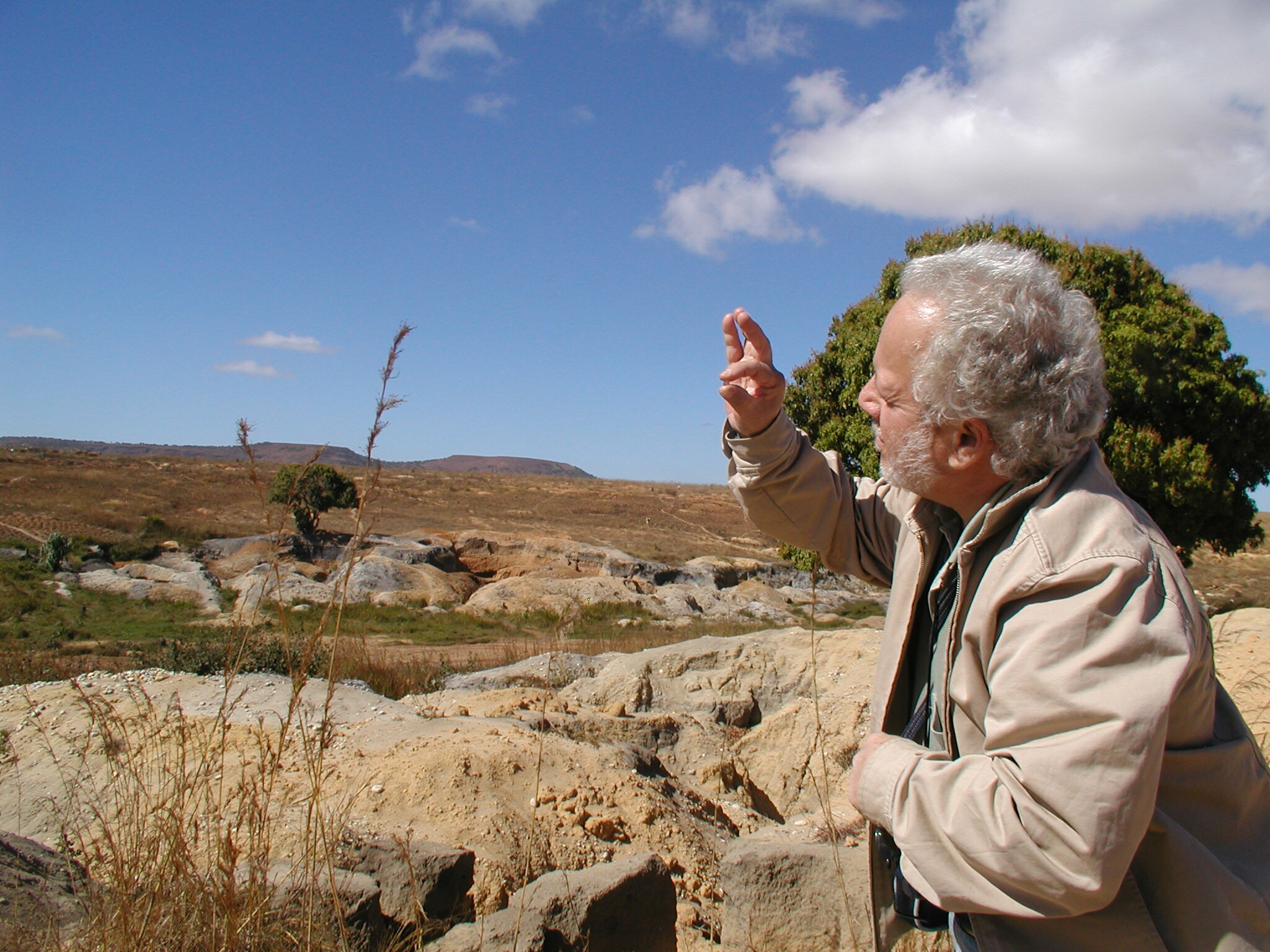 2006